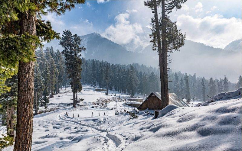 تین ماہ کے وقفے کے بعد کشمیر میں پھر برف باری۔ رابطہ سڑکیں بند